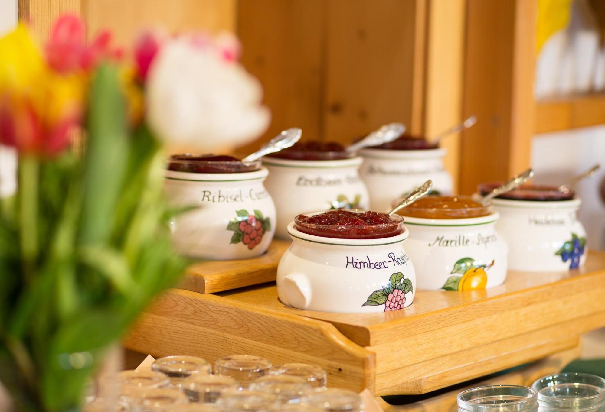 Holzerhof Aparthotel Schladming
